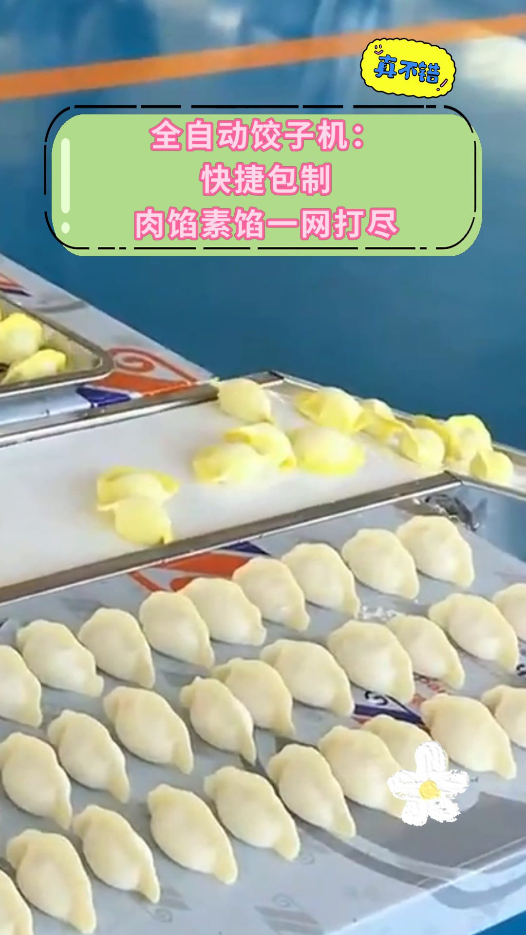 全自动饺子机:快捷包制肉馅素馅一网打尽