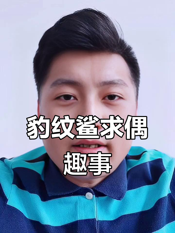 豹纹鲨求偶行为,误被当作“吃同事”的搞笑瞬间