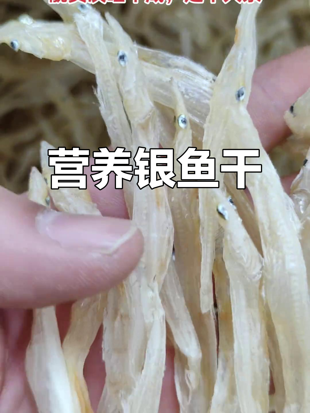 汕尾银鱼干，营养满分，老少皆宜