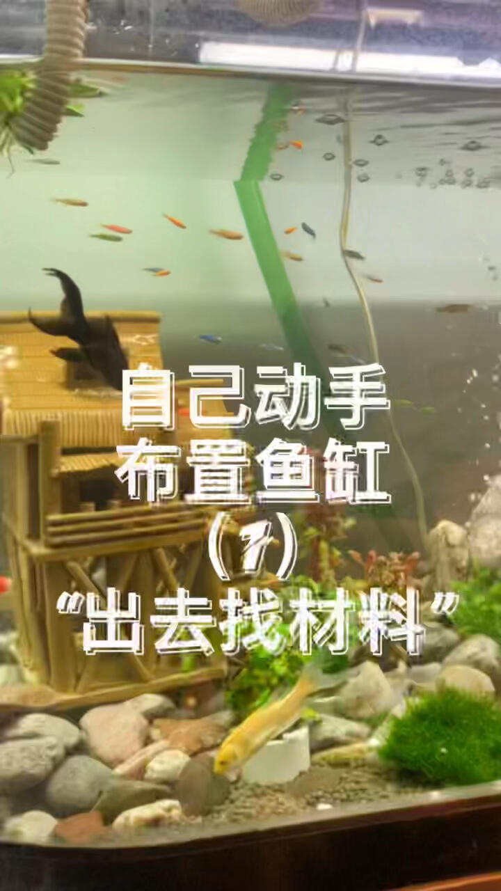 自己动手装饰布置DIY小鱼缸