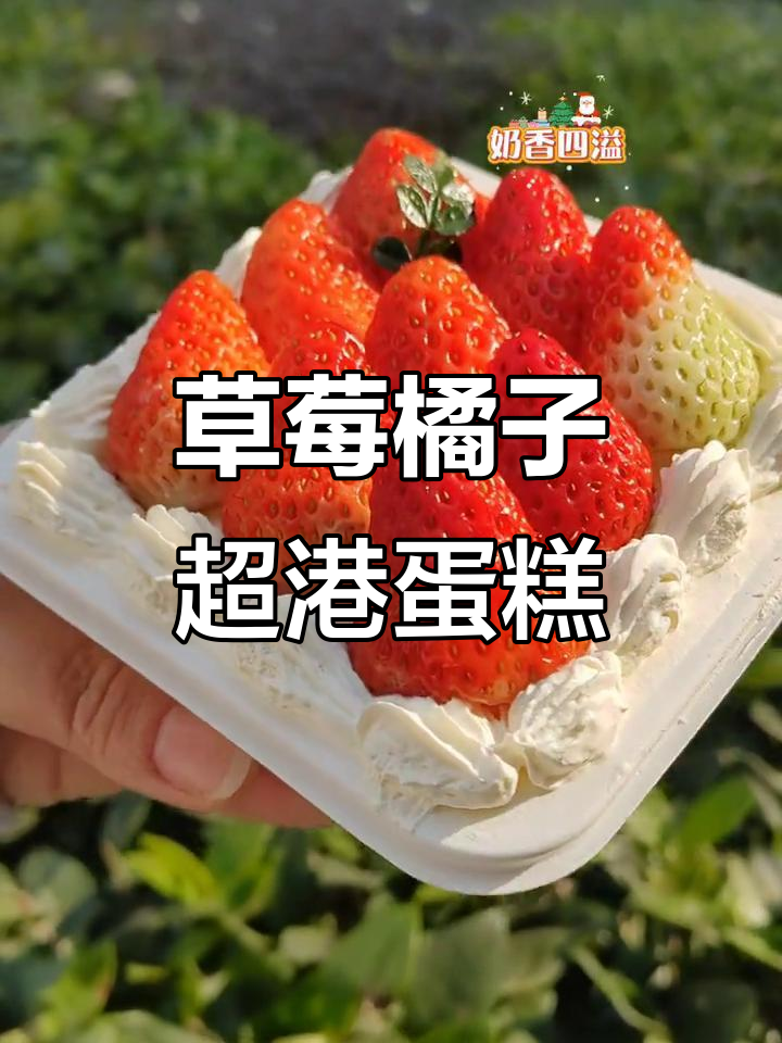 草莓橘子超港蛋糕