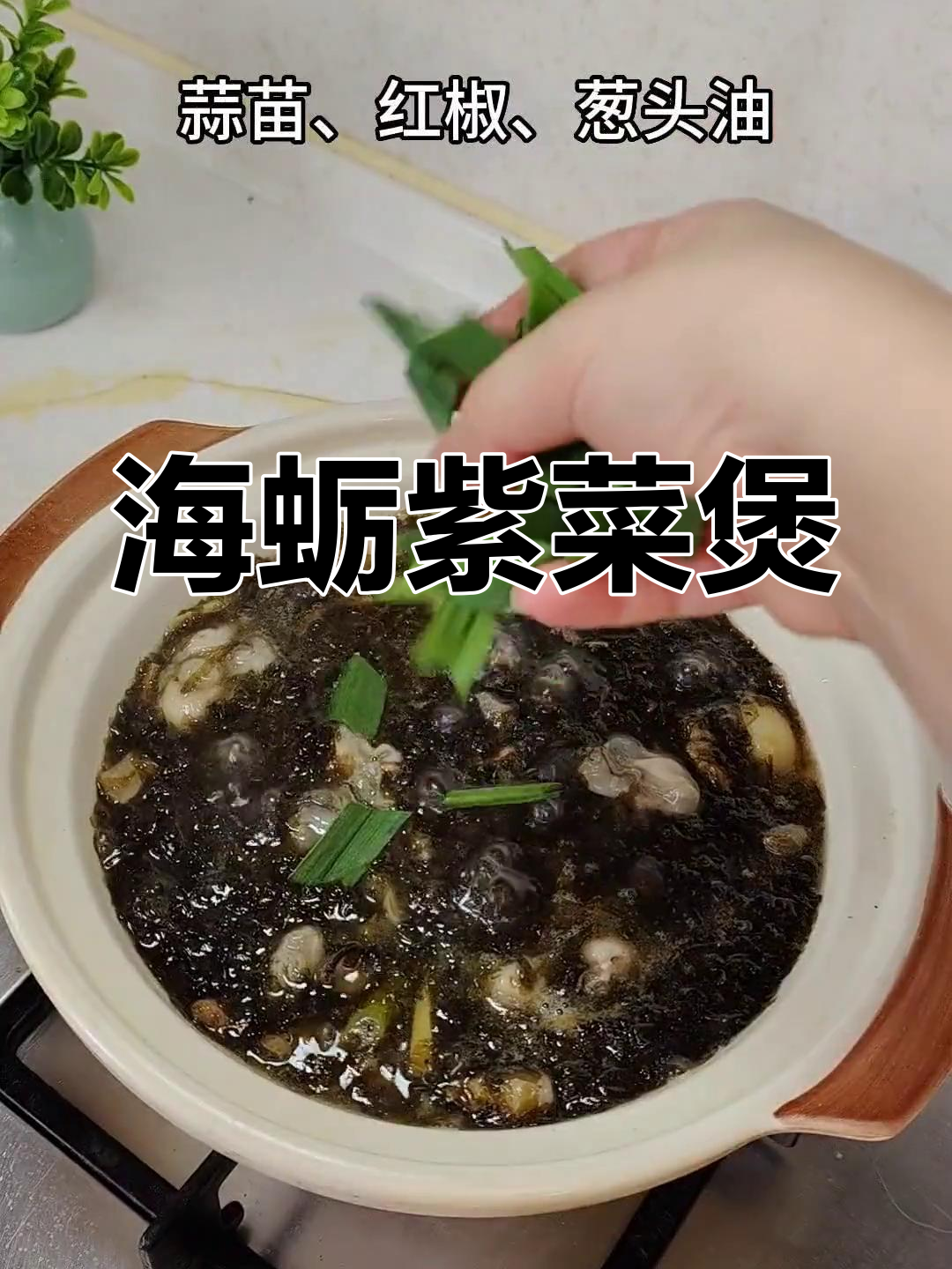 紫菜海蛎煲,鲜美下饭