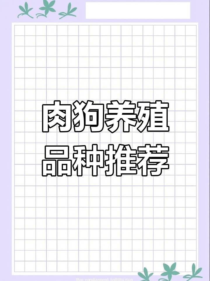 适合做肉狗的品种选择与改良技巧