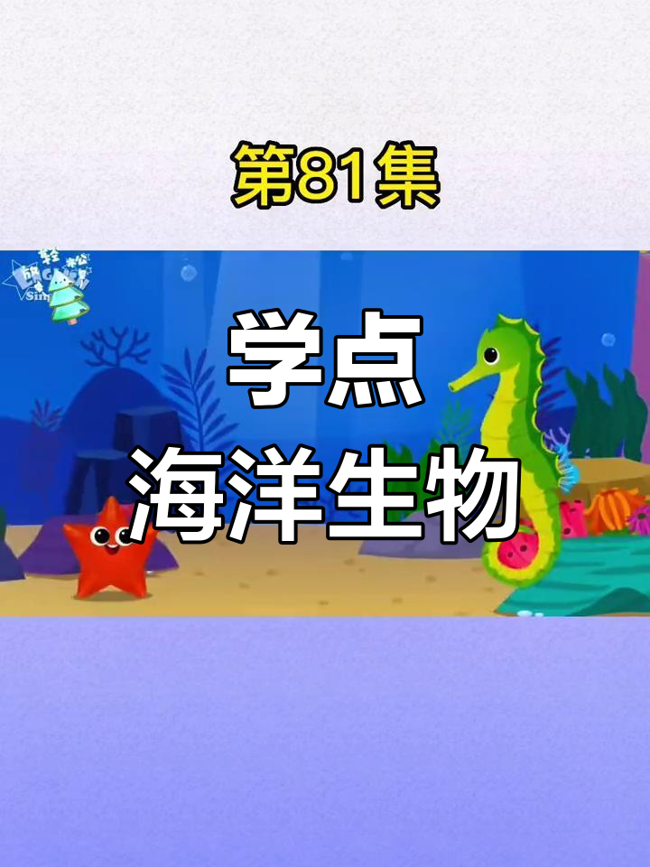 英语启蒙:水母、鱿鱼和章鱼的英文学习