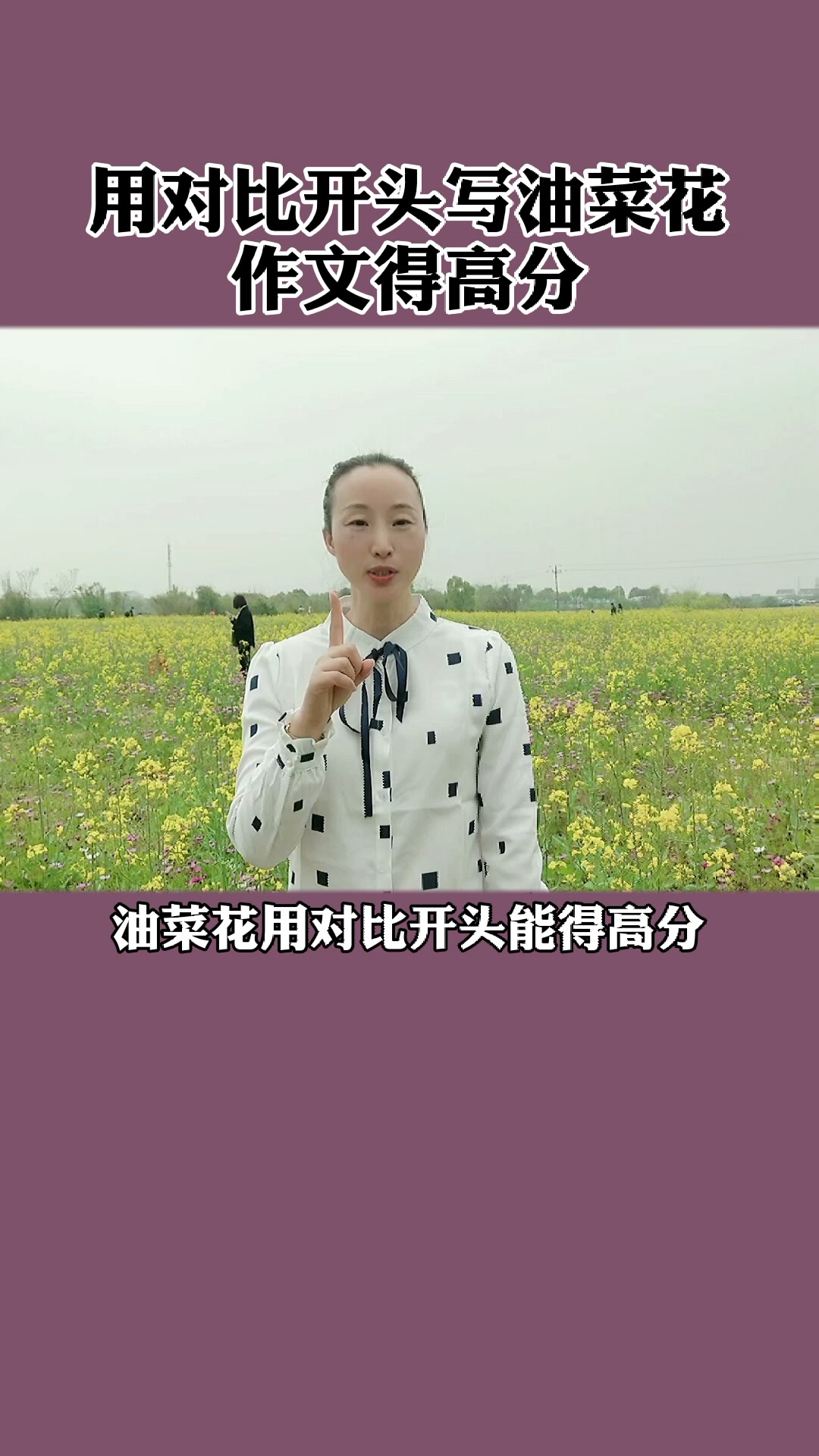用对比开头写油菜花作文得高分