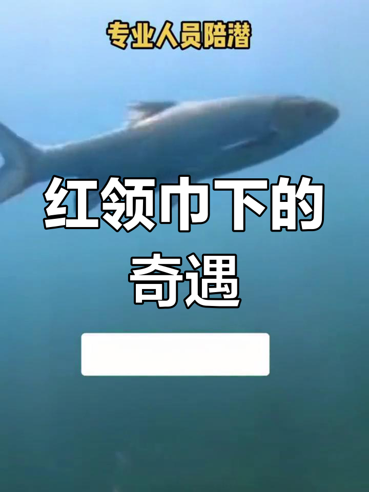 抚仙湖红脸青与清移镇的奇妙之旅,探秘中华稻糍粑