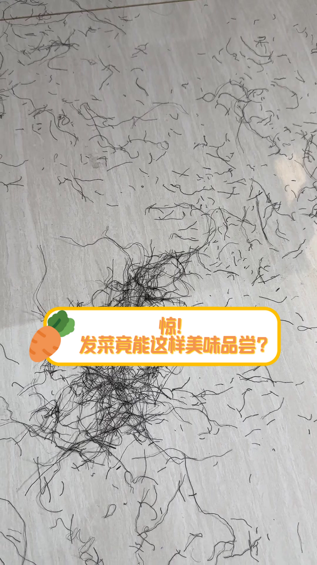 惊!发菜竟能这样美味品尝?