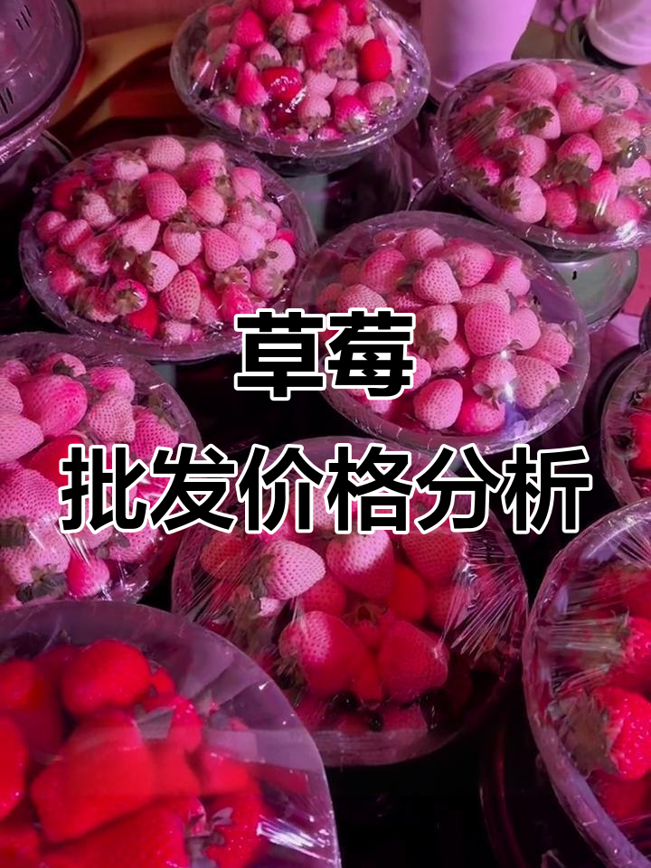 草莓市场行情大揭秘,陕西巧克力价格波动解析