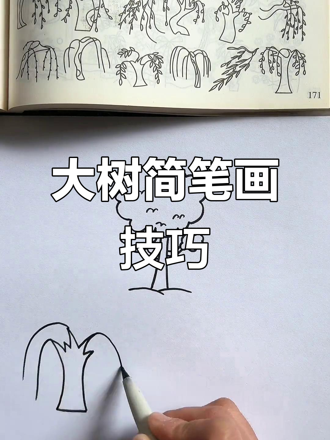 学会这些画法,大树也能千变万化