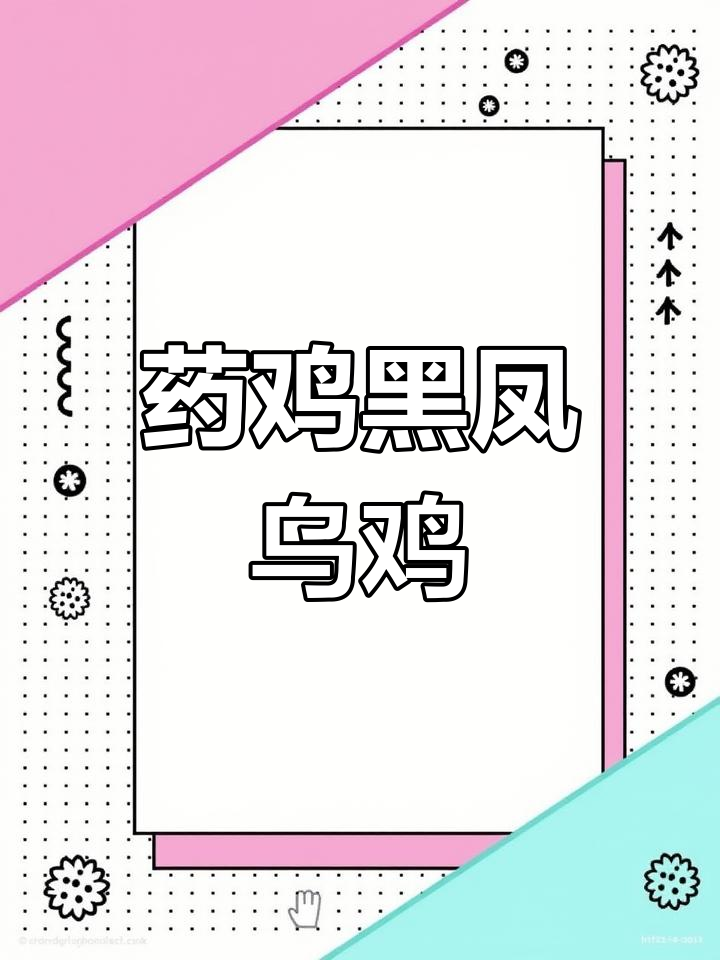 黑凤乌鸡雄雌对比展示