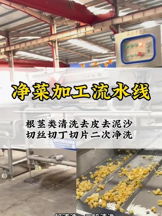 净菜加工流水线 根茎类清洗去泥沙 蔬菜切丝切丁切片 大产量省时省力