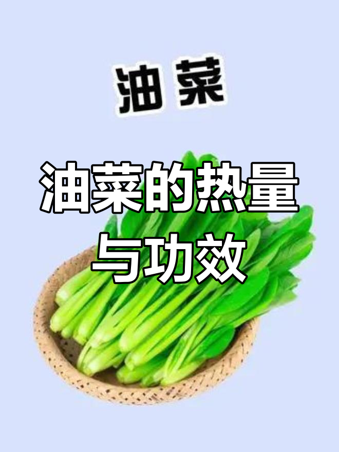 油菜:低卡高营养,减脂期好选择