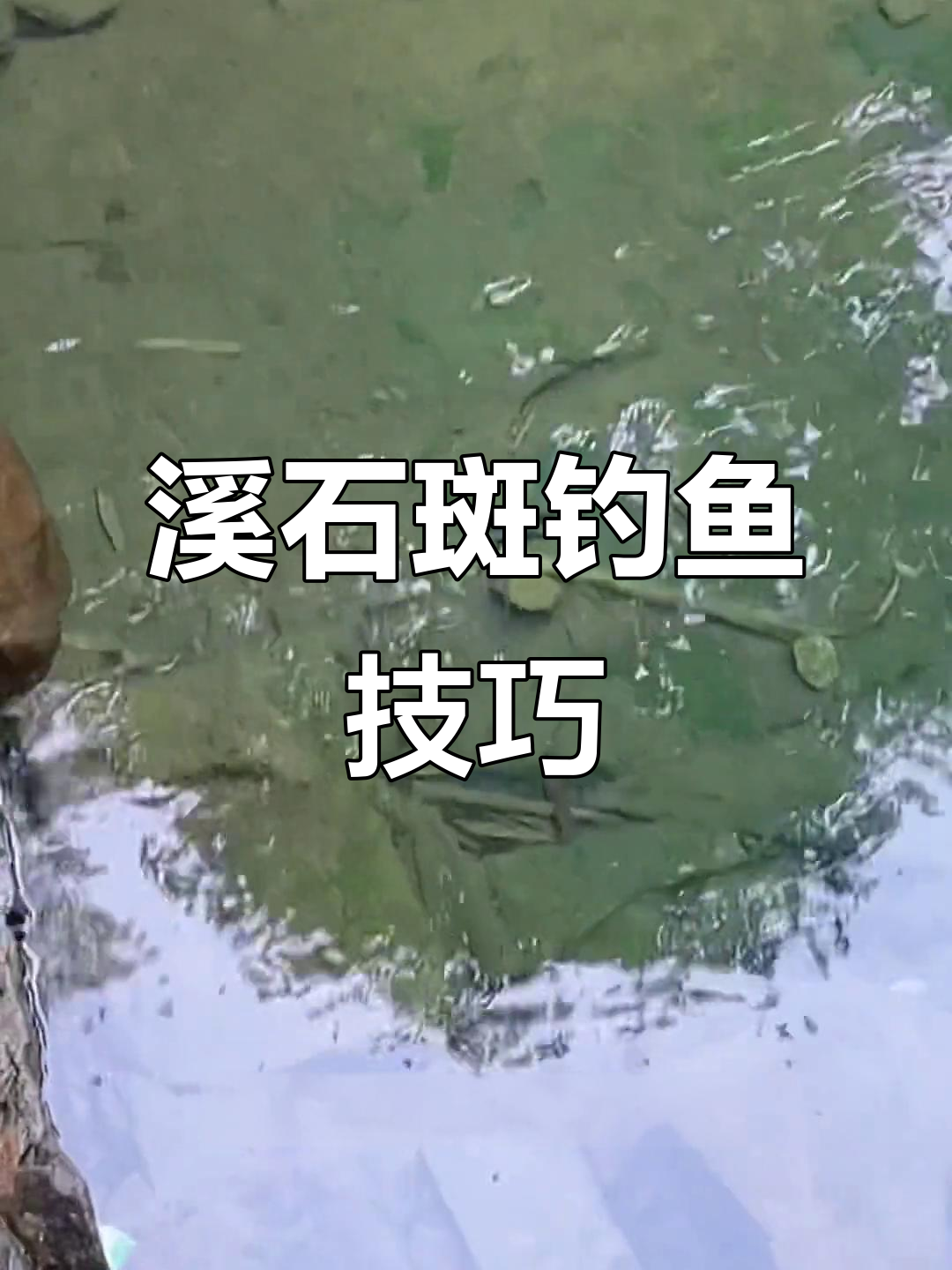 溪石斑钓法揭秘:如何避开小鱼闹窝,轻松捕捉大鱼