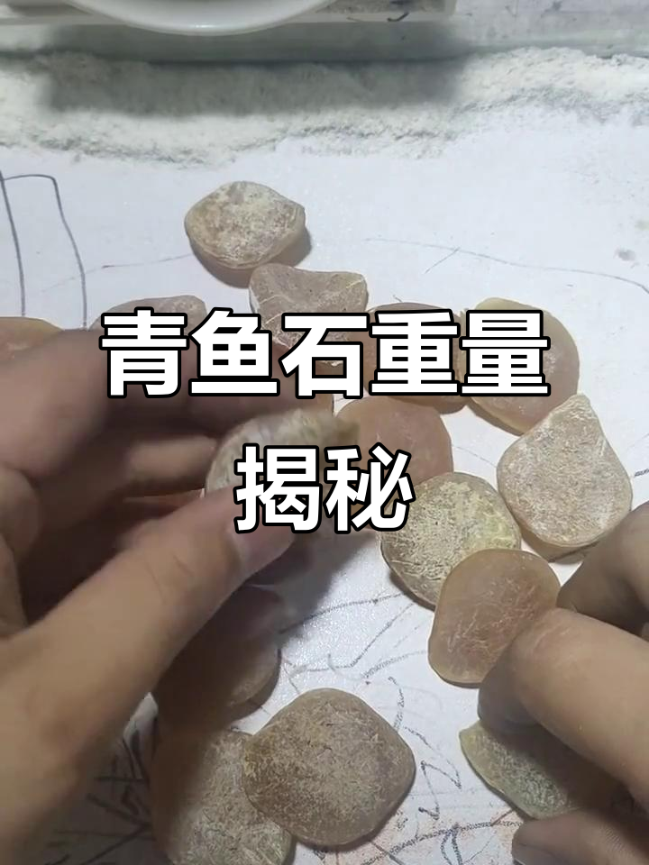 网友送来青鱼石,十几个一起称重,看看它们有多重!