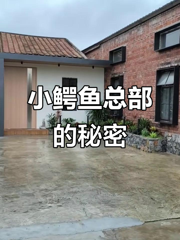 网红工厂揭秘：小鳄鱼总部背后的故事