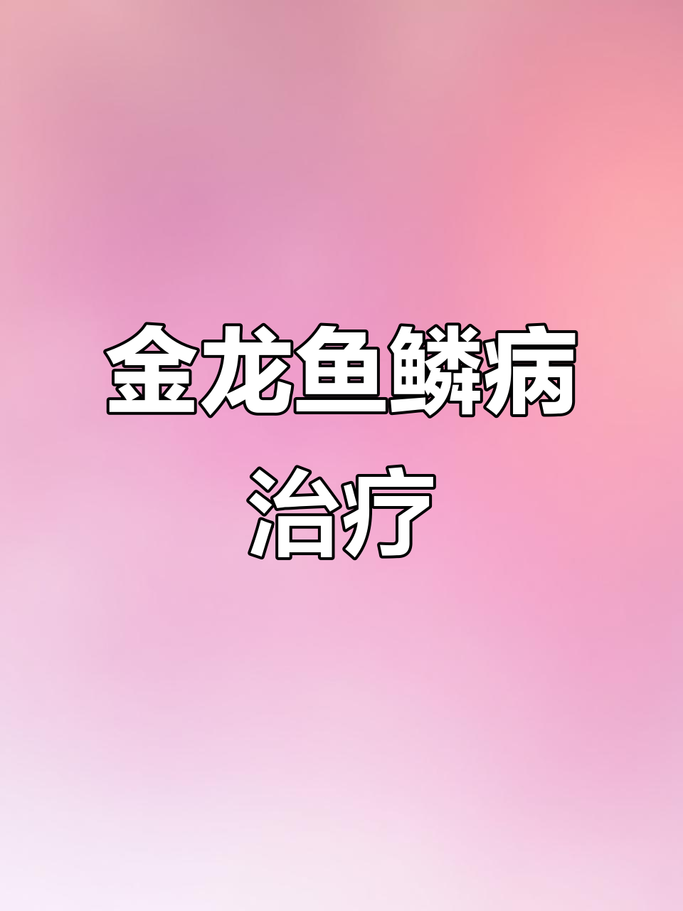 金龙鱼鳞片感染,帮忙处理细菌感染问题