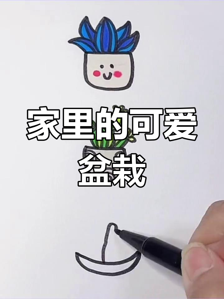 家庭盆栽大比拼,仙人掌、多肉和跳舞的植物都来啦!