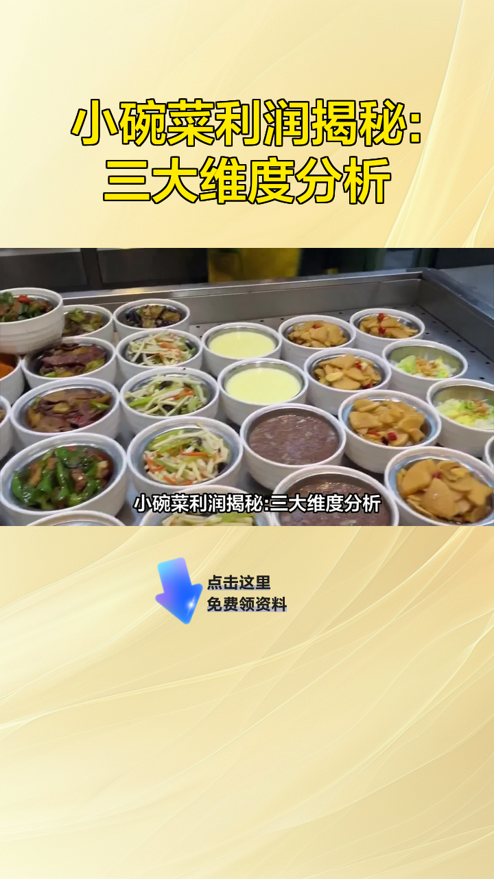 小碗菜利润揭秘:三大维度分析