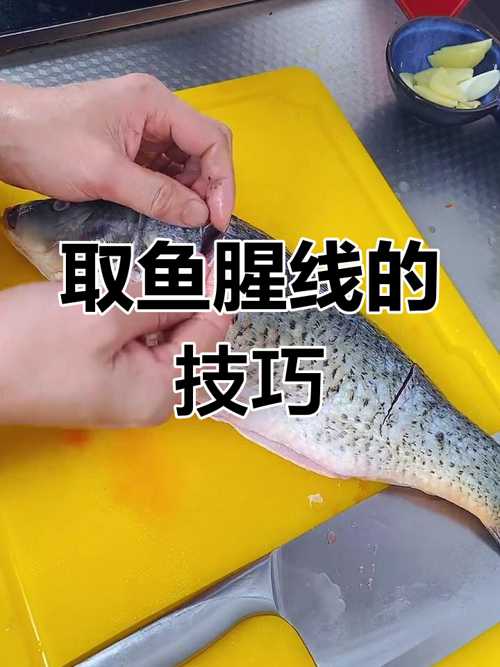鱼腥线到底有多腥?