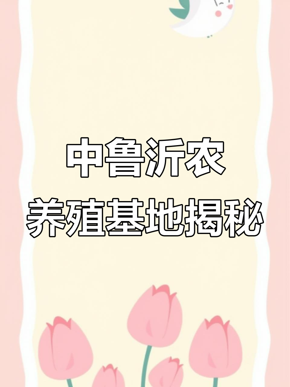 探访中鲁沂农生态养殖基地,山地放养草鸡全程自然健康