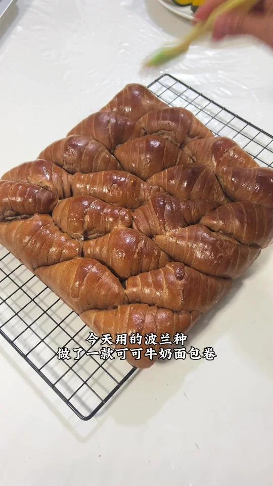 波兰种~可可牛奶面包卷 超柔软好吃