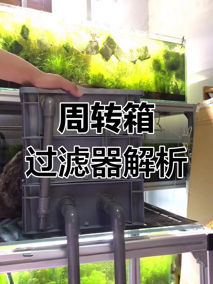 水族箱周转箱过滤系统详解，三层四层设计大揭秘