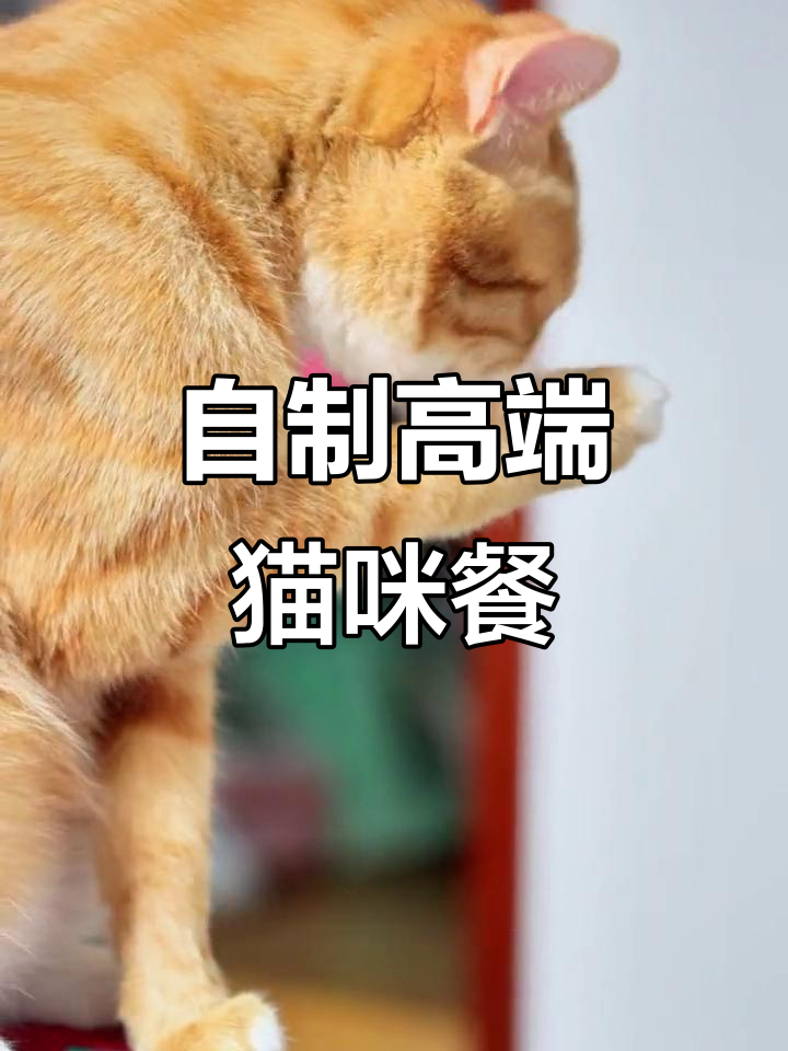 用三文鱼皮做猫饭,简单又美味!