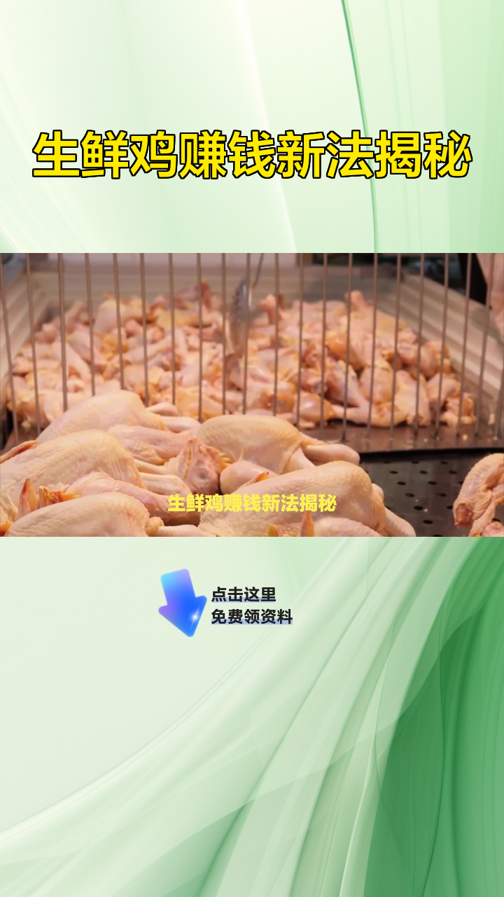 生鲜鸡赚钱新法揭秘