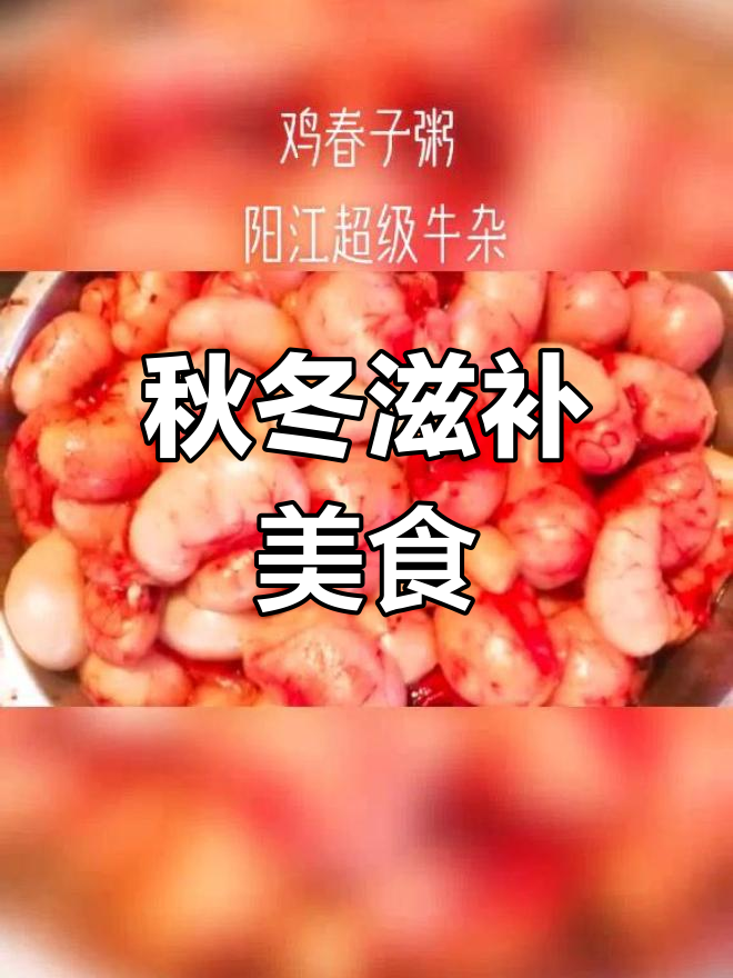 秋冬进补必备,阳江牛杂与鸡春粥