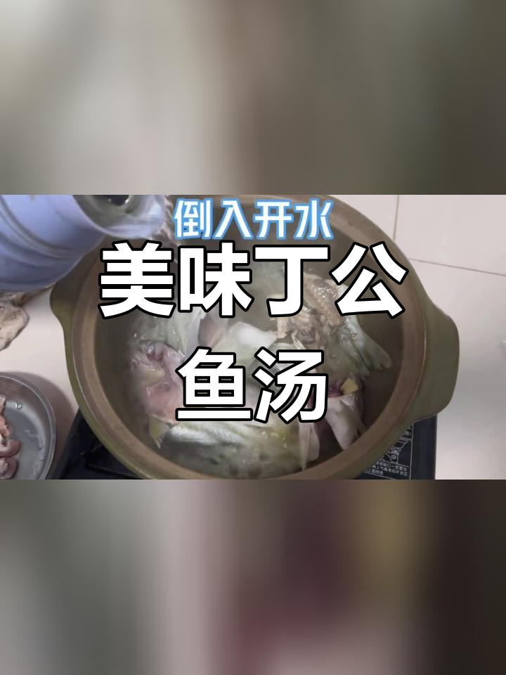 丁公鱼汤,鲜美海鲜体验
