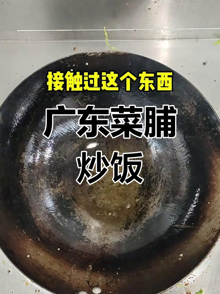 广东菜脯和天津冬菜的炒饭,竟然这么好吃!