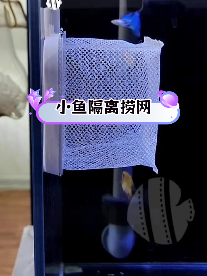 伸缩立体3D小网,适合中小型鱼缸捞小鱼
