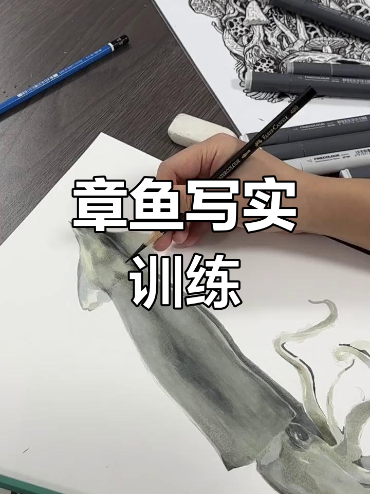 纯手绘章鱼,考研与校考必备的写实基础训练