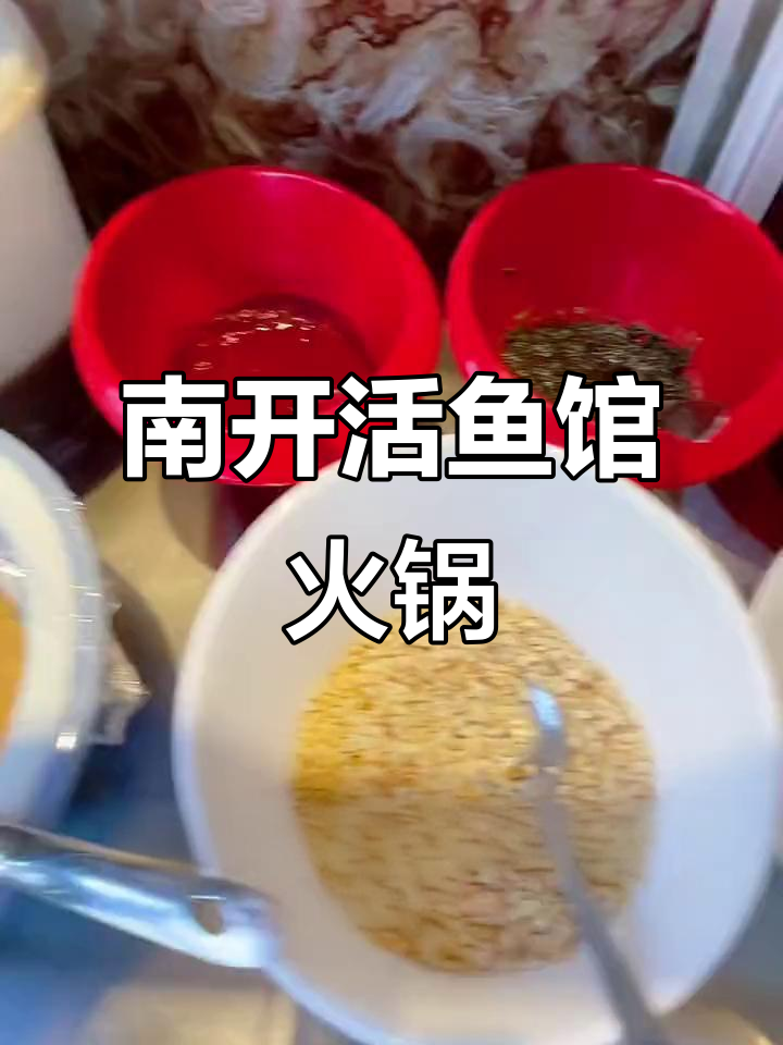 天津南开活鱼馆,黑鱼肉质鲜嫩,火锅体验超赞