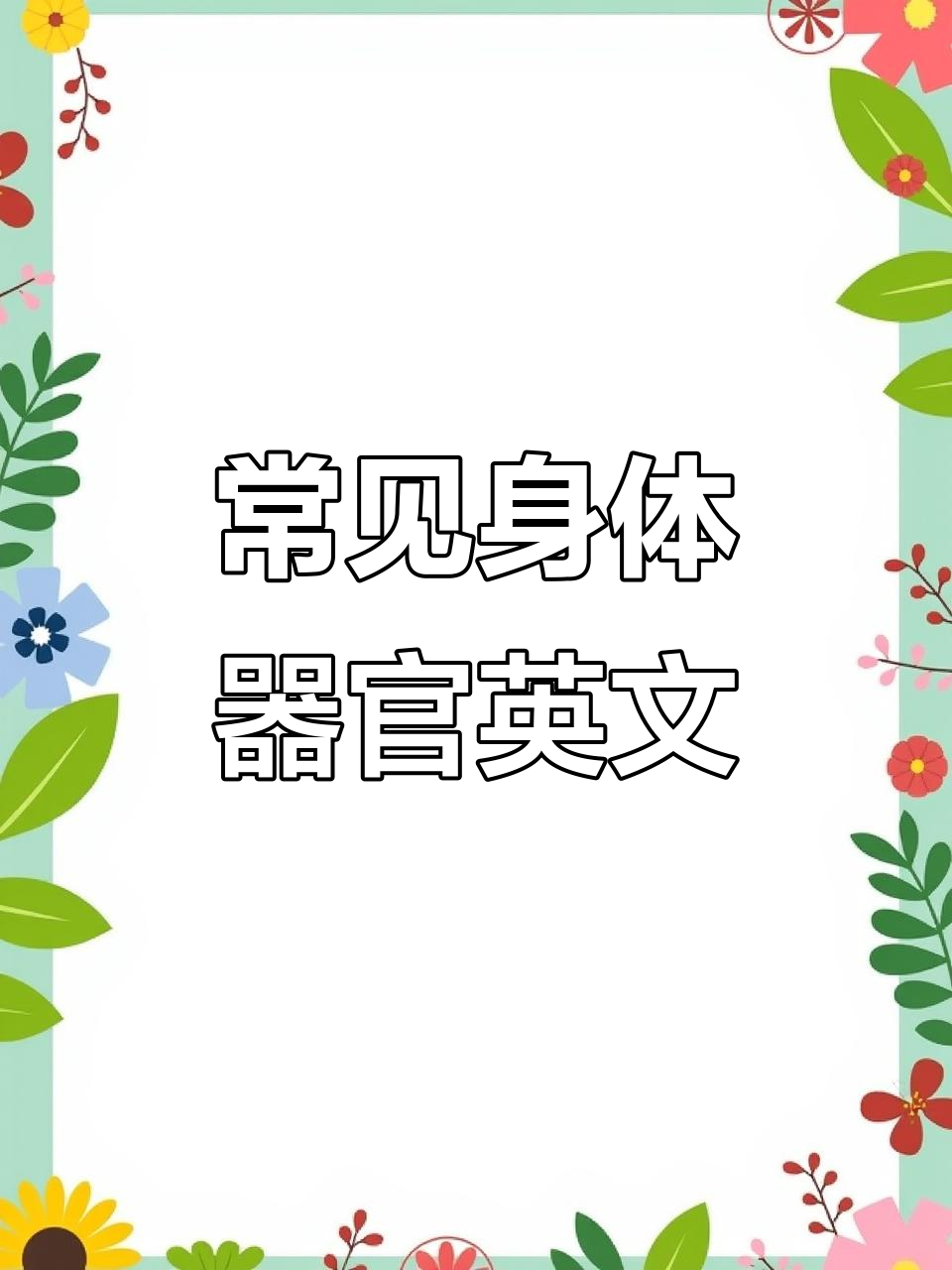 快速记住身体器官英文单词,轻松掌握!