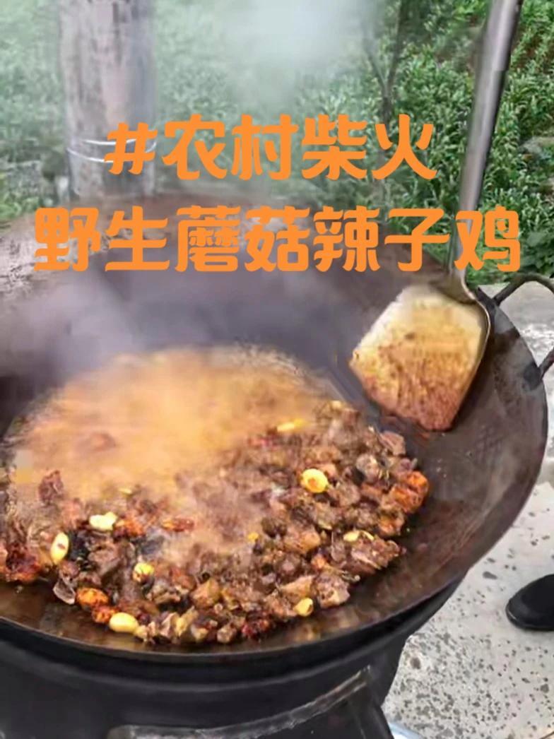 周末回去老家感受一下小时候的柴火生活,农村柴火野生蘑菇辣子鸡 雨季山林少不了蘑菇,周末有的