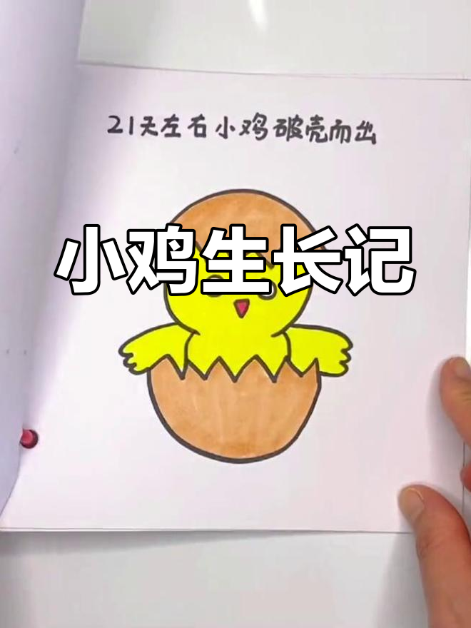 手工绘本,让小鸡成长故事陪伴孩子,趣味十足!