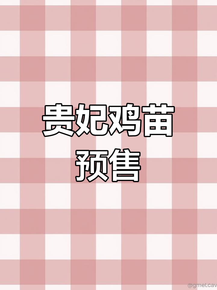 贵妃鸡苗现货,11月8日发货,数量有限,速来预订!
