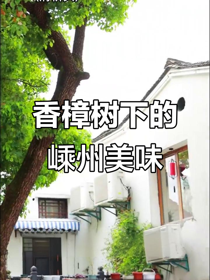 香樟树下嵊州小吃,虾仁小笼包与糟肉豆腐年糕的完美搭配