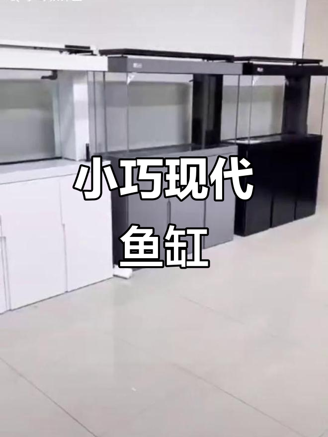2024新款简约鱼缸,直角溢流设计,小巧又实用
