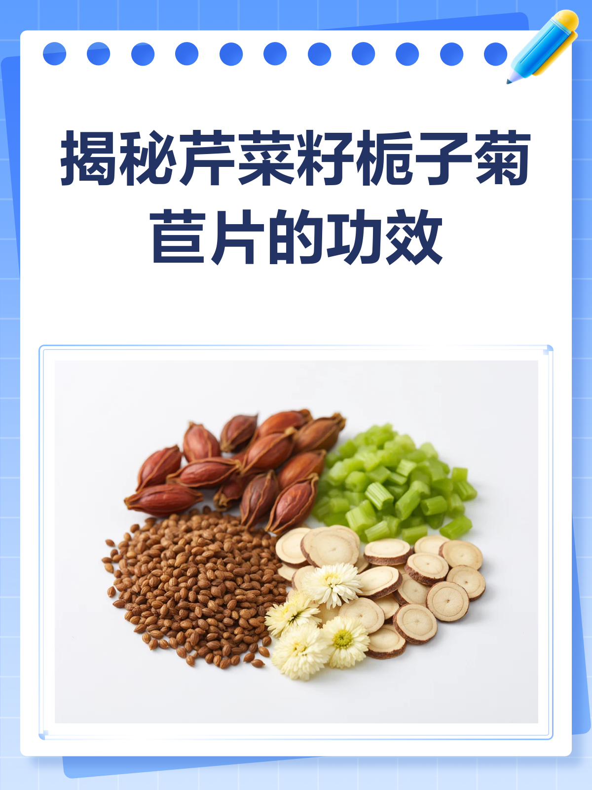 芹菜籽栀子菊苣片,痛风患者的辅助良药