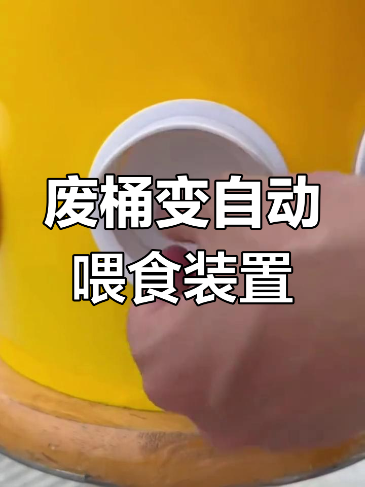 利用废桶DIY自动喂食器,鸡鸭养殖更轻松