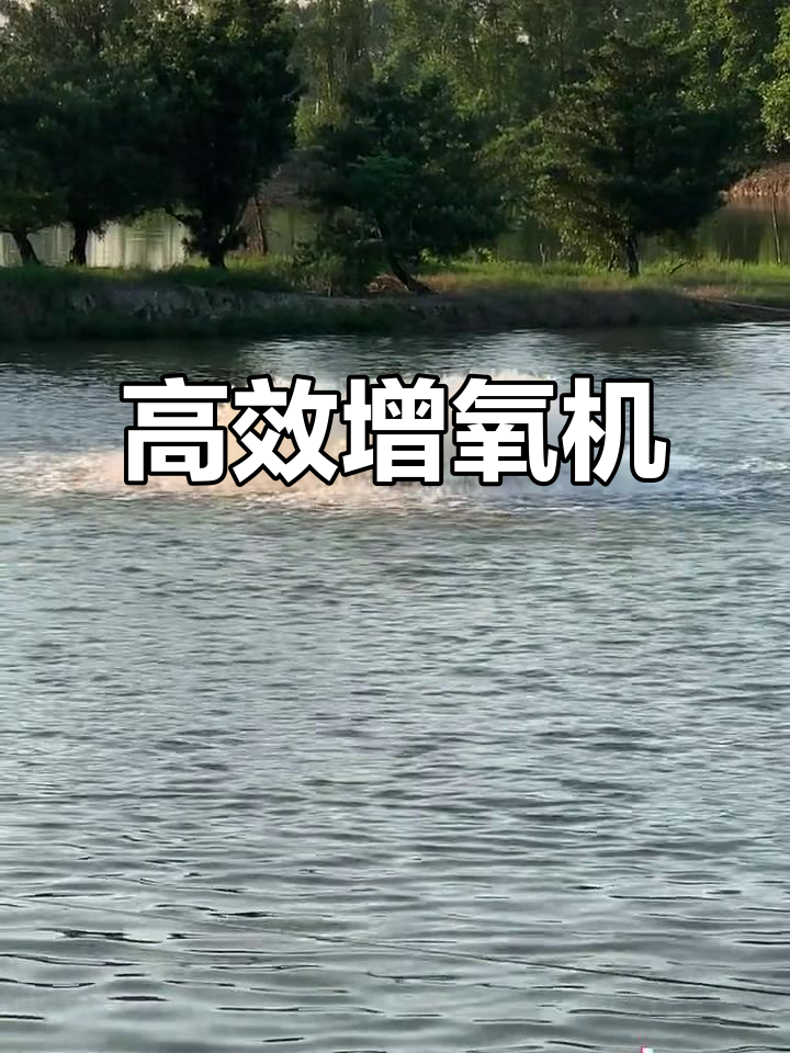 高效节能增氧机,叶轮浮球设计,提升鱼塘氧气水平