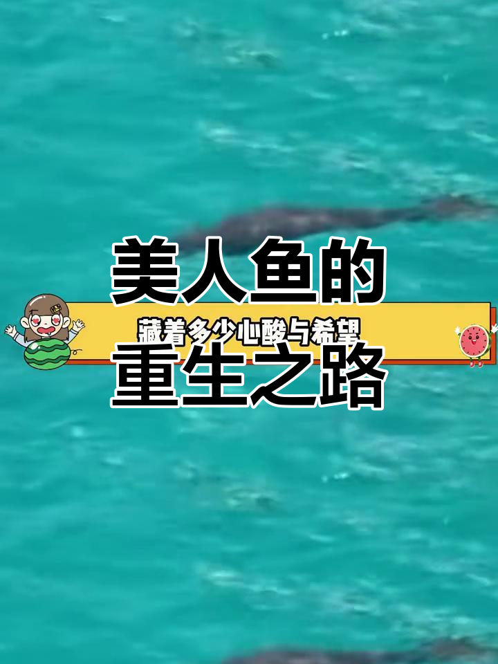 曾被宣告灭绝的美人鱼现身,背后隐藏着怎样的故事?