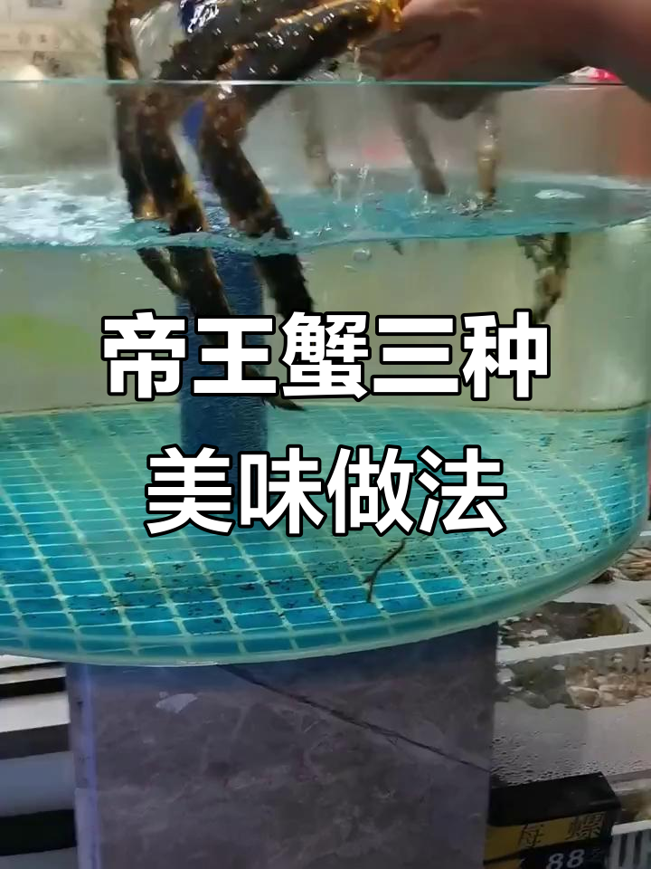 帝王蟹三吃，蒸蛋、姜葱炒与神秘做法大揭秘