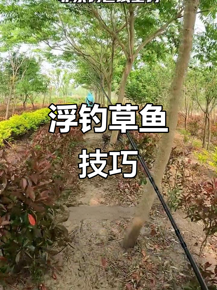 芦苇叶子打窝钓草鱼,大毛鱼飞起惊险瞬间