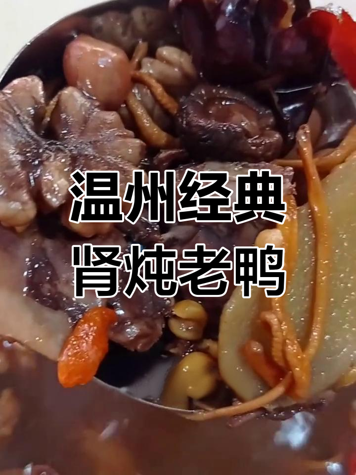 温州瑞安传统滋补炖品,老鸭、乌鸡、猪肚搭配营养满分