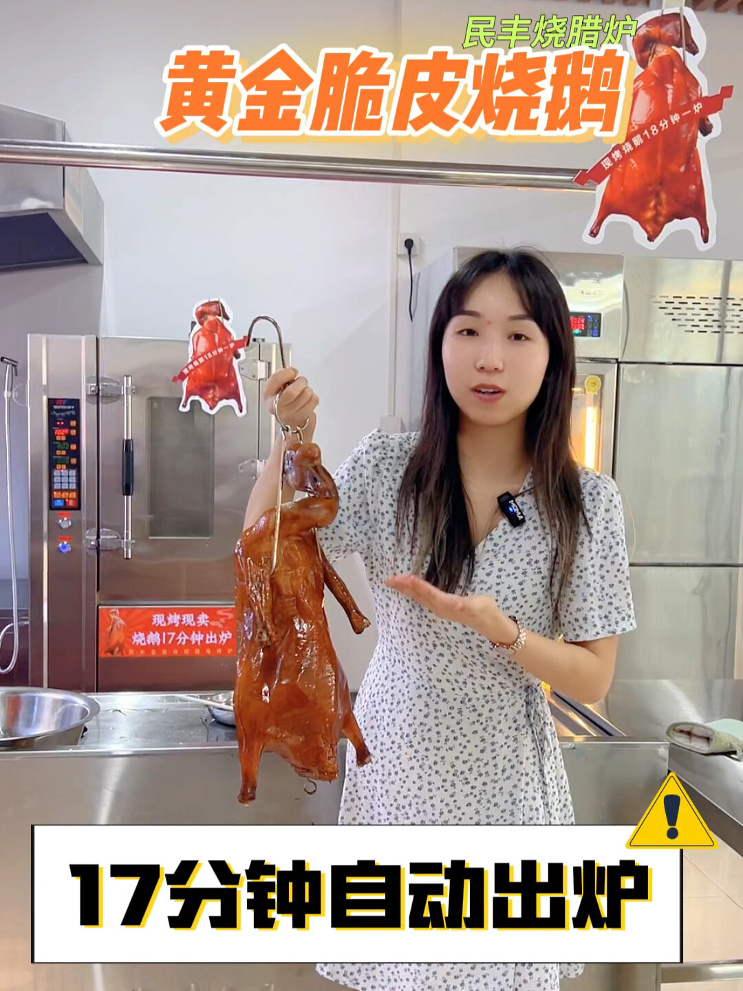 全自动烧腊炉17分钟出炉一只鹅