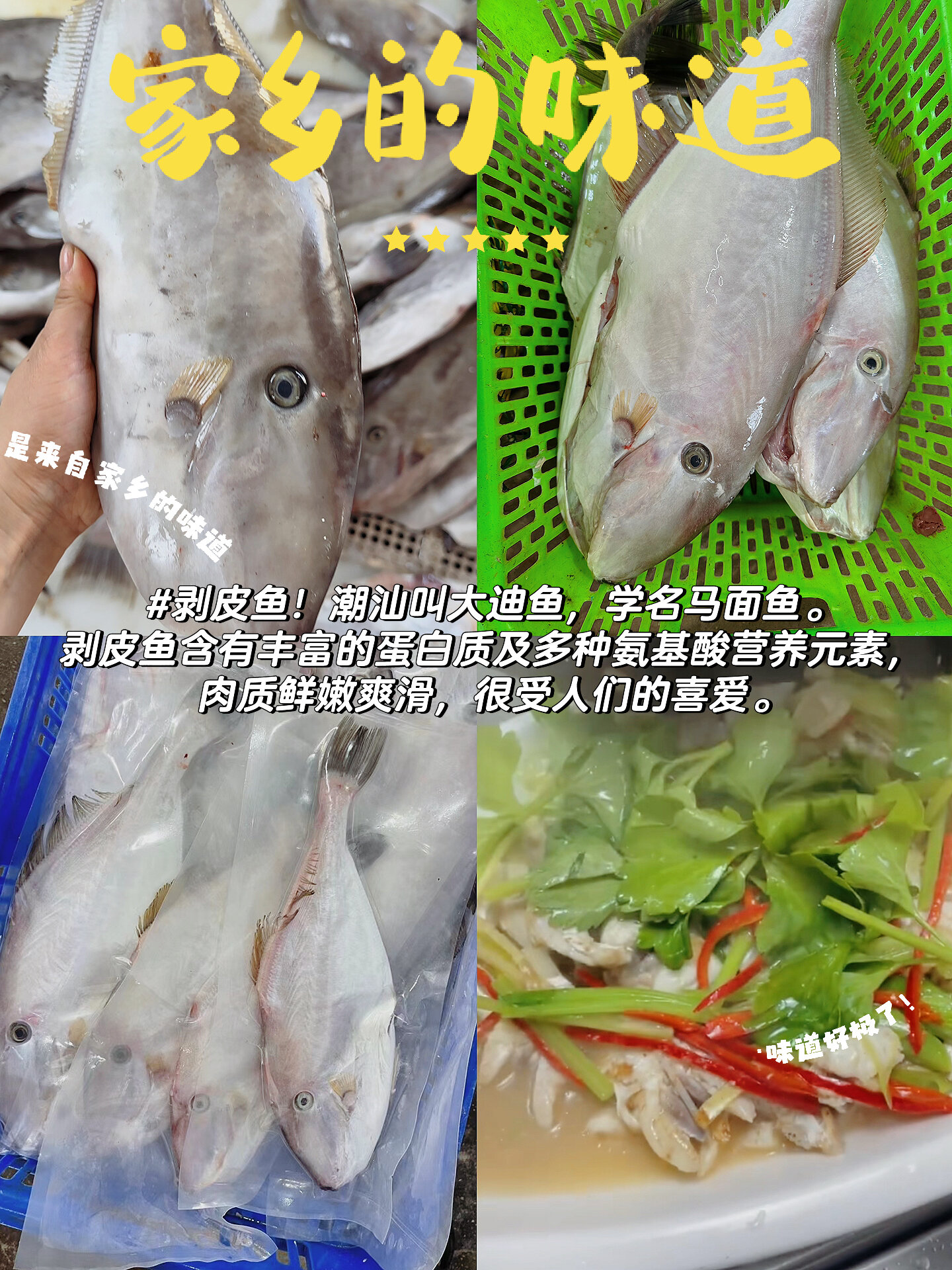 马面鱼、大剥皮鱼 绝了!以后鱼我就这么吃!