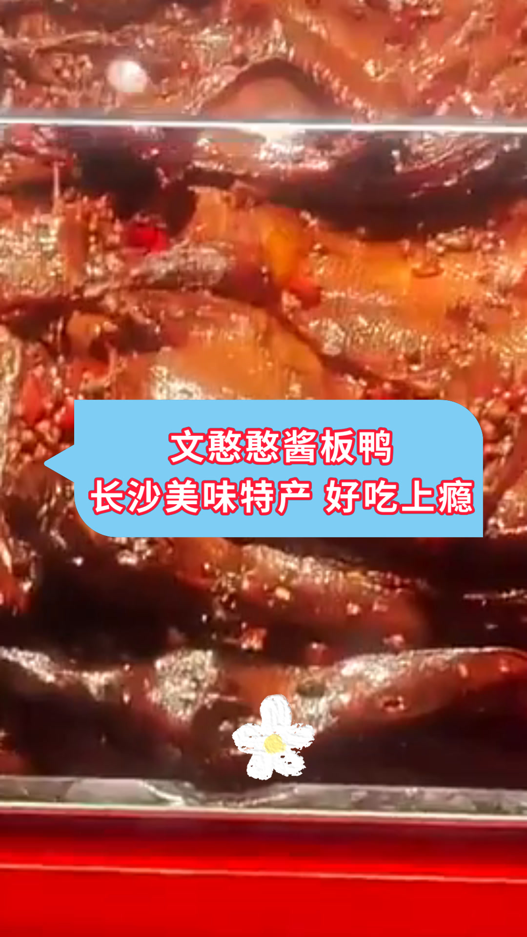 文憨憨酱板鸭长沙美味特产 好吃上瘾